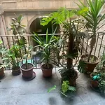 Rosaricca House *