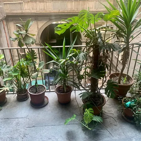 Rosaricca House *