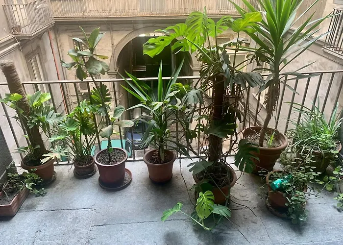 Rosaricca House *